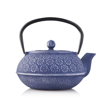 Cast Iron Teapot in Water Pot & Kettles